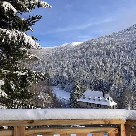 Maison Auvergnate Lioran - Pied Des Pistes 14pers - 5ch - 5 Sbd * Laveissière